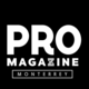 Promgzn logotipo%20copia