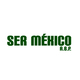 Logotipo sermexico cuadro