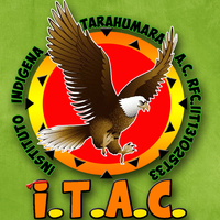 Logo%20itac%20wachochi%20rfc%20fondo%20verde