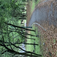 C3c41231 858e 4c8f 96fc efd5bba7c46f